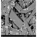 Phenom 飞纳烟草纸张领域扫描电子显微镜