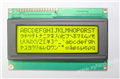 2004蓝膜STN液晶模块